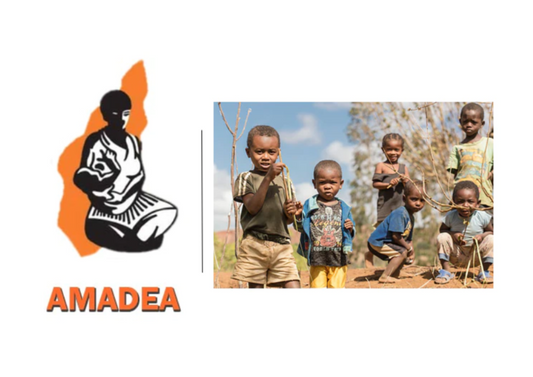 Association Amadea - Enfance et Développement à Madagascar - les délices de mada